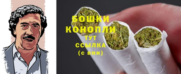 apvp Няндома