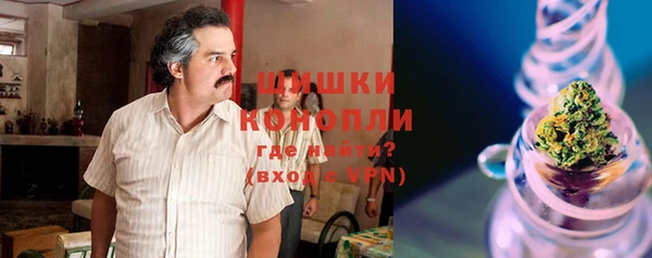 apvp Няндома