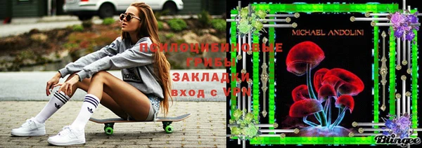 apvp Няндома