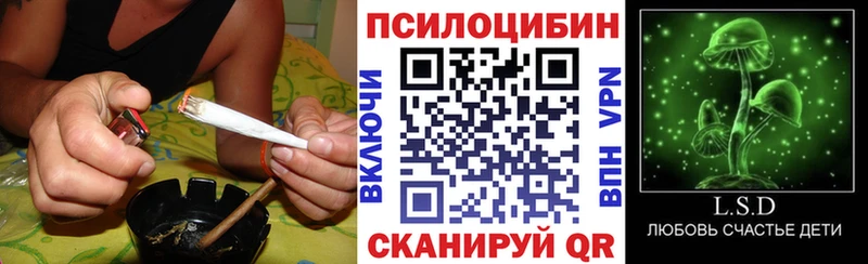 Галлюциногенные грибы мицелий  Ядрин 