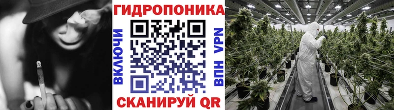 Бошки Шишки MAZAR Ядрин